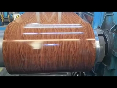 PPGI (pre-painted Galvanized Steel)